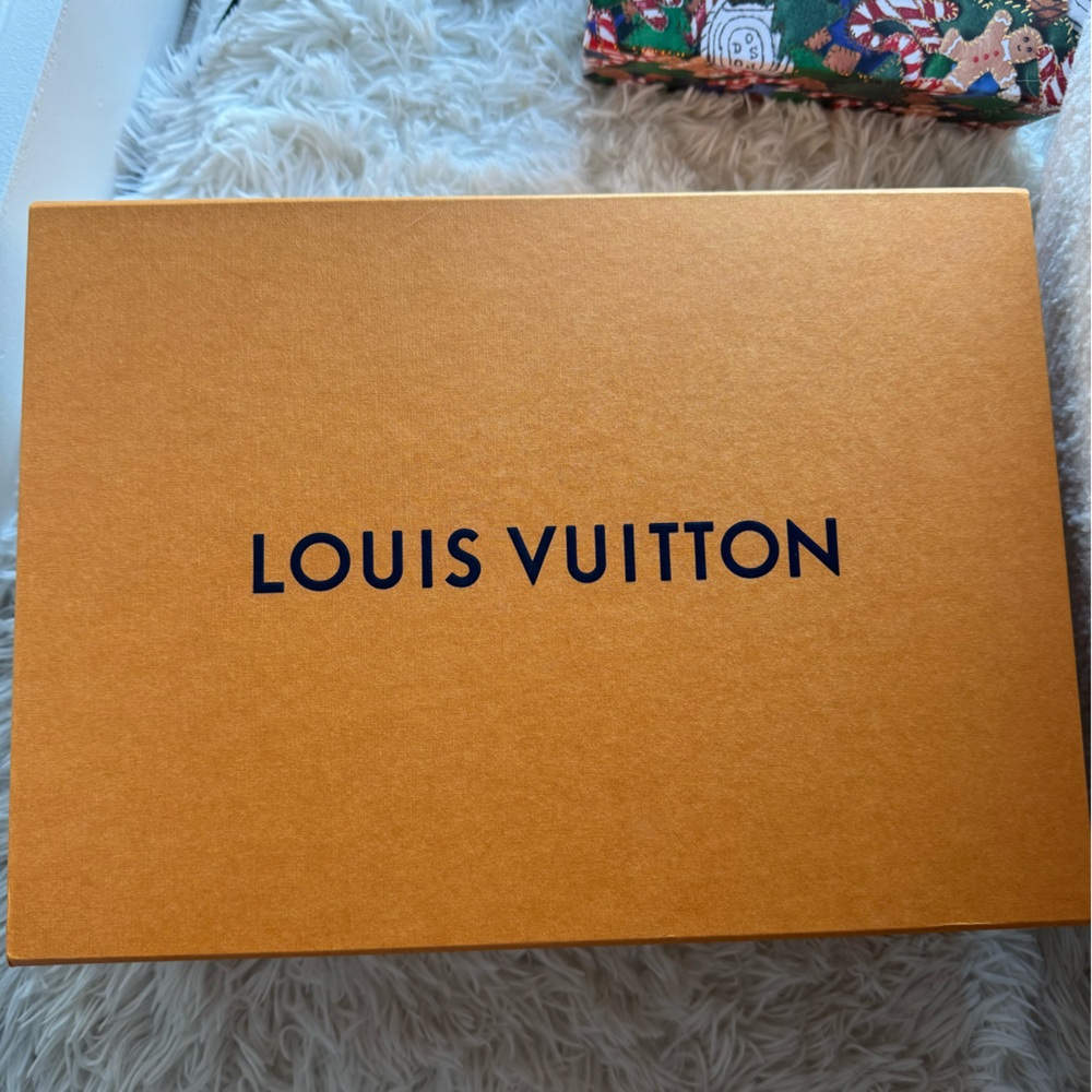 Louis Vuitton Signature Shoe Orange Box